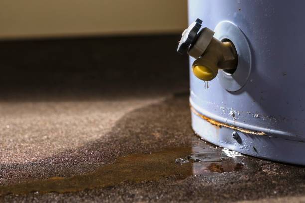 Trusted Lyndonville, VT Water damage restoration Experts