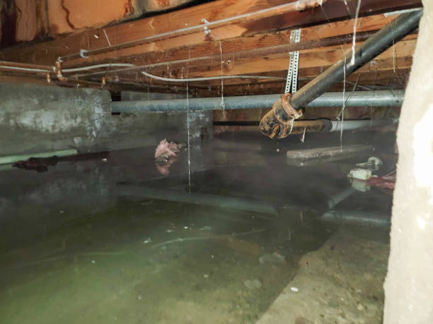 Best Water damage contractors near me  in Lyndonville, VT