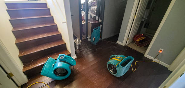 Best Water damage restoration near me  in Lyndonville, VT