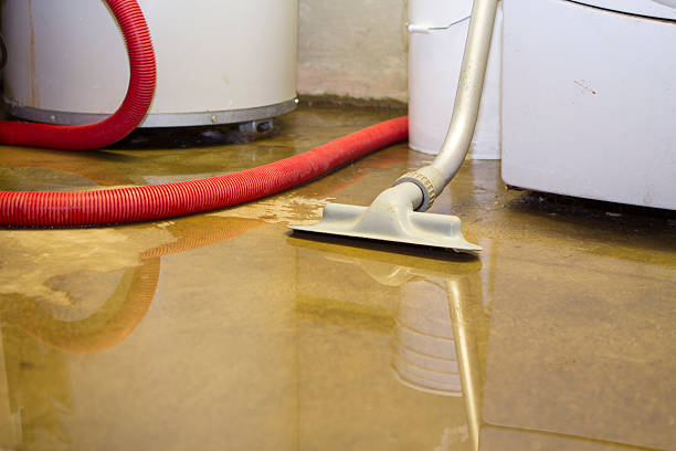 Best Sewage cleanup and water damage restoration  in Lyndonville, VT