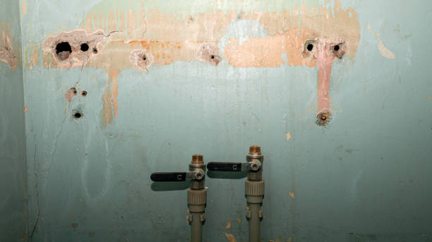 Best Basement water damage restoration  in Lyndonville, VT