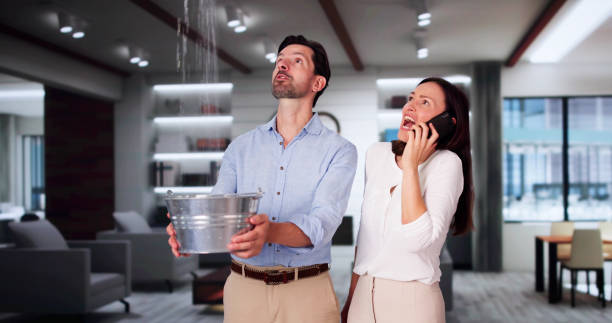 Best Flood restoration services  in Lyndonville, VT